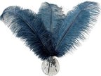 Happy Feather 16-18 inch Ostrich Feathers Craft for Wedding Party Centerpieces Home Decoration DIY Craft Pack of 10-Turquoise