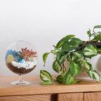 DIY Glass Plant Terrarium Kit for Adults, Metal Stand, Reindeer Moss, Crystals, Rocks, Tools & Figurine – Complete Starter Set