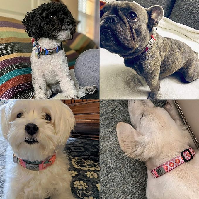 Personalized Dog & Cat ID Tags - Engraved Dog Name Tags - Slide On, Silent & Customized for Small, Medium & Large Pets