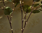 Hairui Lighted Eucalyptus Branches with Timer 24IN 36 LED Battery Operated for Wedding Christmas Party Home Spring Decor (Vase not Included)