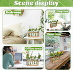 Glass Plant Propagation Station with 5 Test Tubes Colorful Planter Vase Birthday Gifts for Women in Wooden Stand