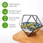 DIY 7" Geometric Terrarium Kit - Build Your Own Glass Terrarium for Adults & Kids with Moss, Crystals, Tools & Decorative Figurine - Mini Ecosystem - Handcrafted in The USA