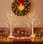 EAMBRITE Lighted Birch Tree Christmas Decorations Indoor for Home, 2Pack 24 LED Battery Operated/USB Tabletop Mini Small Artificial White Trees with Lights for Table Mantel Winter Xmas Decor (2FT)
