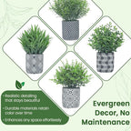 4 Pack Small Fake Plants, Fake Grass Plant, Artificial Boxwood & Rosemary, Lavender with Geometric Pattern Cement Pots, Small Potted Faux Greenery for Home Decor, Office, Indoor&Outdoor Decor