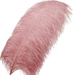 Larryhot Pink Ostrich Feathers Bulk- 16-18 inch 10pcs Feathers for Cfafts,Wedding Party Centerpieces, and Home Decorations (Lotus Pink)