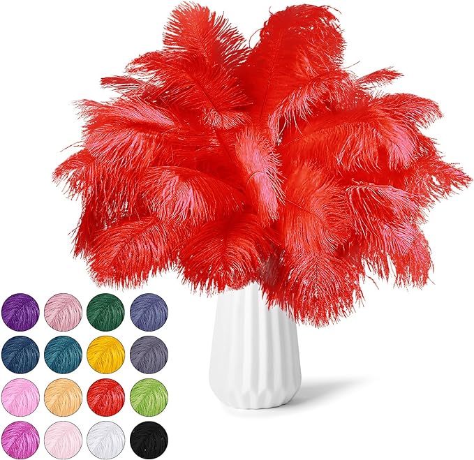 NEWONG 30pcs Red Ostrich Feathers Natural Bulk 9-12inch(23-30cm) Vase Craft Wedding Home Party Centerpieces Christmas Day Decoration