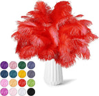 NEWONG 30pcs Red Ostrich Feathers Natural Bulk 9-12inch(23-30cm) Vase Craft Wedding Home Party Centerpieces Christmas Day Decoration