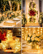 btfarm 24 Pack Fairy Lights Battery Operated, 7FT 20 LED Mini String Lights Waterproof Silver Wire for Mason Jars Centerpiece Table Crafts Bedroom Christmas Decoration, Warm White