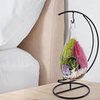 7" DIY Teardrop Terrarium Kit with Live Plants - Hanging Glass Planter with Stand for Adults & Kids - Build a Mini Ecosystem with Moss, Crystals, Tools - Made in The USA