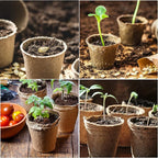 JERIA 50-Pack 3.15 Inch Peat Pots for Seedling with 50 Pcs Plant Labels,Outdoor Garden Germination Nursery Pots,Biodegradable Seed Starter Pots Kits