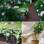 30pcs Plant Labels for Outdoor Garden Waterproof Plant Markers for Outdoor Plants, 11inch Metal Garden Plant Tags and Labels for Herbs Vegetable Seedlings Greenhouse（Silver）
