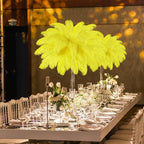 80 Pcs Large Natural Ostrich Feathers Plumes 14-16 Inch Bulk for DIY Crafts Wedding Party Centerpiece Vase