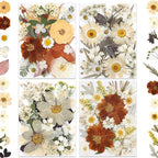 100P Vintage White Dried Flowers for Crafts, Real Natural Pressed Flowers in Retro White Tones for Resin Art, DIY Crafts, Jewelry & Candle Decor – Tweezers Included