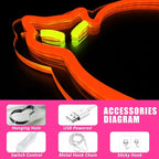Halloween Orange Cat Neon Signs for Wall Decor, Cat LED Neon Sign USB Powered, Halloween Cat LED Light Table Decoration for Bar, Christmas, Wedding, Birthday Party