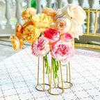 Propagation Station Terrariums with Gold Metal Stand - Kate Aspen 3 Glass Test Tube Planters for Indoor Plant, Air Plants, Plant Clippings, Cut Flowers, Herbs, Succulents | Home Decor Table Decoration