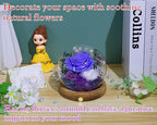 Valley of Rain & Forest Long-Lasting Real Flowers, Unique Floral Gift For you to send Love for All Occasions, for Indoor Decoration (Violet Rose, Purple & White Austin Roses)