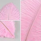 THARAHT Pink Ostrich Feathers 12pcs Natural Bulk 8-10Inch 20cm-25cm for Crafts Wedding Party Centerpieces Flower Arrangement Easter Gatsbi and Home Decoration Feathers