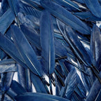 FeelfunFeather 120pcs Navy Blue Goose Cochettes Feather Natural Bulk 4-6 inch 10-15cm for Wedding Party Christmas Decorations DIY Crafts Goose Cochettes Feather