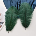Ballinger Green Long Ostrich Feathers - 12Pcs 14-16inch Large Feathers for Tall Vase,Wedding Party Centerpieces and Holiday Home Decor