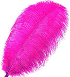 Fuchsia Large Ostrich Feathers Bulk- 16-18 inches 10pcs for Wedding Party Centerpieces,Flower Arrangement and Home Decorations (Fuchsia)