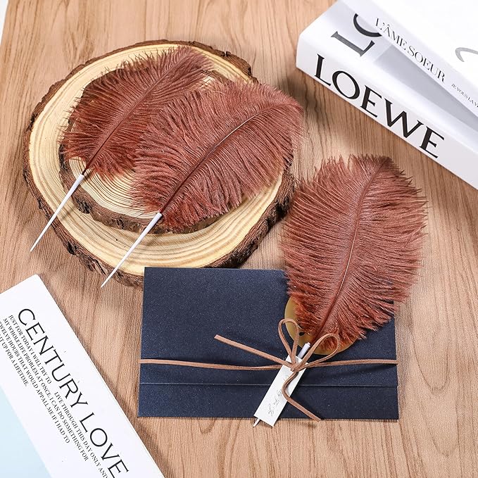 SOGUGOM Brown Craft Ostrich Feathers - 30PCS 8-10 inch Ostrich Feathers Kit for Centerpieces, Kindergarten Crafts, Dream Catchers and DIY Projects(Brown)