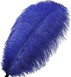 Larryhot Royal Blue Big Feathers - 10pcs 16-18 inch Feathers for Vase,Wedding Party Centerpieces and Home Decorations(Royal Blue)