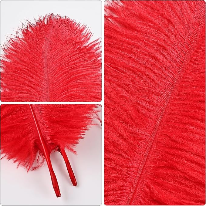 THARAHT Red Ostrich Feathers 12pcs Natural Bulk 10-12Inch 25cm-30cm for Crafts Wedding Party Centerpieces Halloween and Home Decoration Feathers
