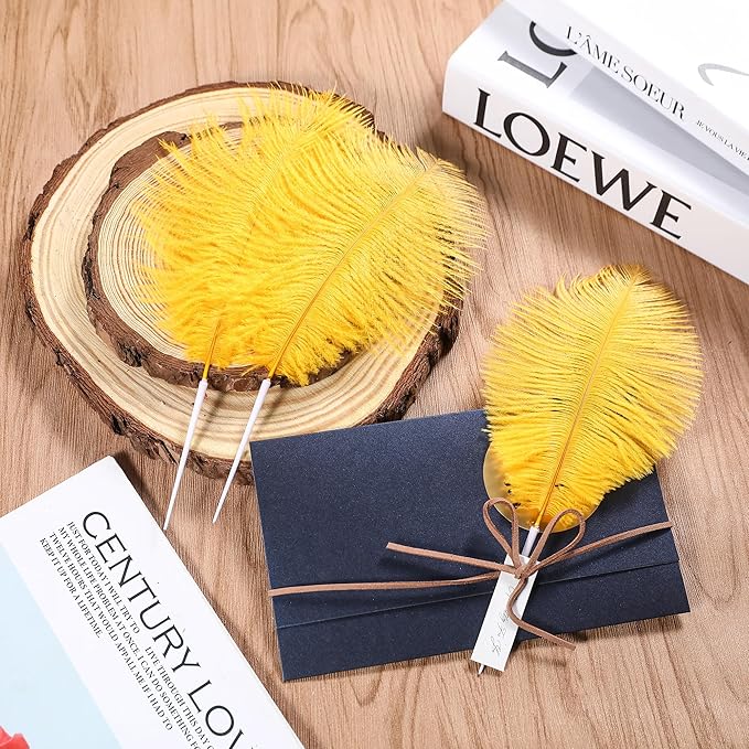 SOGUGOM Gold Craft Ostrich Feathers - 30PCS 6-8 inch Ostrich Feather Kit for Kindergarten Crafts, Dream Catchers and Mardi Gras(Gold)