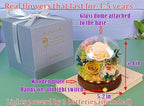 Valley of Rain & Forest Long-Lasting Real Flowers, Unique Floral Gift for You to Send Love for All Occasions, for Indoor Decoration (Champagne & Yellow Roses Arrangement)