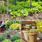 STARTOSTAR 30-Pack Metal Plant Labels Weatherproof Garden Markers,Height 10.6'', Label Area 3.5''X 1.2'' Reusable Nursery Tags for Vegetables Herb Flower Seed Greenhouse - Zinc