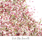 Rainbow Pana 50 Pack Prefilled Confetti Packets | Biodegradable Confetti, Dried Flower Petals | Real Flower Petals to Throw at Wedding, Glassine Bags Rose Wedding Send Off Ideas