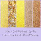 Confect Fusion Mashup Sprinkles FM Multipack 31 100 GMS for Cake Cupcake Décor, Multicolor