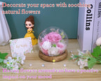 Valley of Rain & Forest Long-Lasting Real Flowers, Unique Floral Gift For you to send Love for All Occasions, for Indoor Decoration (Pink Rose & White Roses Arrangement)