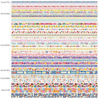 emmoolife 35 Rolls Washi Tape Set, Colorful Cute Floral Writable Decorative Tapes for Scrapbooking and Bullet Journaling, Junk Journal Supplies, DIY Planner Art, 5-30mm Wide 9.84ft Long/Roll