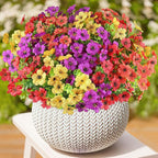 AmyHomie 16 Bundles Artificial Flowers for Outdoor Outside Spring Summer Decoration UV Resistant Faux Flowers No Fade Fake Plastic Plants Garden Porch Window Box Decorating