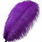 Larryhot Purple Large Ostrich Feathers - 10pcs 16-18 inch Natural Feathers for Vase and Wedding Party,Christmas Decor(Purple)