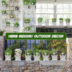 10 Herb Seeds Garden Starter Grow Kit with White Pots, Markers, Nutritional Soil, Watering, Herb Clipper, Complete Indoor Potted Plant Growing Set for Kitchen DIY