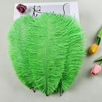 THARAHT Green Ostrich Feathers 12pcs Natural Bulk 8-10Inch 20cm-25cm for Crafts Wedding Party Centerpieces Mardi Gras and Home Decoration Feathers
