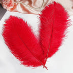 THARAHT Red Ostrich Feathers 12pcs Large Natural Bulk 12-14Inch 30cm-35cm for Wedding Party Centerpieces Halloween and Home Decoration Feathers