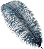 Happy Feather 16-18 inch Ostrich Feathers Craft for Wedding Party Centerpieces Home Decoration DIY Craft Pack of 10-Turquoise