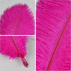 THARAHT Hot Pink Ostrich Feathers 12pcs Natural Bulk 10-12Inch 25cm-30cm for Crafts Wedding Party Centerpieces Easter Gatsbi and Home Decoration Feathers