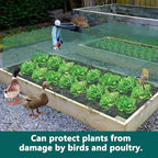 16.4Ft x16In Chicken Wire for Floral Arrangements - Free-Cut Green Metal Mesh with Hexagonal Galvanized PVC Coated Netting Guard Fence for Poultry, Garden, Plant