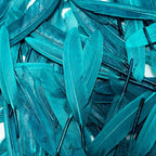 FeelfunFeather 120pcs Peacock Blue Goose Cochettes Feather Natural Bulk 4-6 inch 10-15cm for Wedding Party Christmas Decorations DIY Crafts Goose Cochettes Feather
