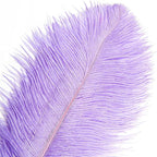 THARAHT Lavender Ostrich Feathers 12pcs Large Natural Bulk 12-14Inch 30cm-35cm for Wedding Party Centerpieces Easter Gatsbi and Decoration Feather