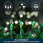 Joiedomi Christmas String Lights Indoor,100 Count Mini Green Light,21.4 FT Lighting Decor for Patio Dorm Classroom Bedroom Holiday Wedding Party Garland Birthday Festival,White Wire