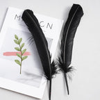 Black Turkey Feathers,22 Pcs Natural Feathers Bulk Long 10-12 inch (25-30cm),Turkish Feather for Crafts DIY Wedding Home Party Mardi Gras Decorations (Black)