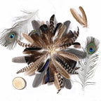 Holmgren 48pcs Natural Feathers Bulk - 6 Styles Assorted Peacock, Pheasant, Turkey Feathers for Craft DIY Jewelry Hat Wedding Home Party Decoration