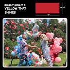 Ultimate Confetti, Red Biodegradable Confetti - Rectangular Fluttering Tissue Paper Confetti for Cannon and Launcher use - Best for Birthday, Wedding, live Events and Table Decoration - 1 lb, 16 oz