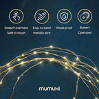 MUMUXI 20 Pack 3.3ft Fairy String Lights Battery Operated, Mini LEDs for Party Wedding Centerpiece Decorations, Crafts, Mason Jar Firefly Lights, Warm White