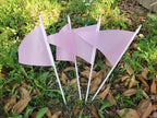 12 Pack Pink Pennant Flags Small Mini Hand Held Solid Color Pennant On Sticks Flags with 12.6"Solid Pole & Spear Top,Party Events Celebration,School,Grand Opening,Kids Birthday,Sports Clubs,Flower Pot